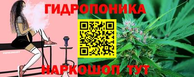 стаф Заволжье