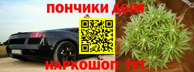 гашик Заводоуковск