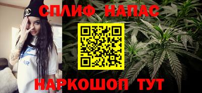 стаф Заволжье